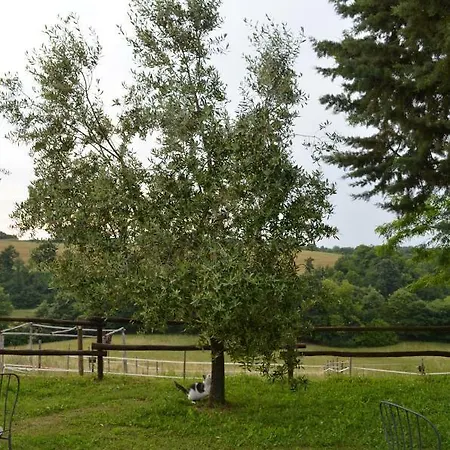 Πανσιόν Podere Delle Rose Agriturismo