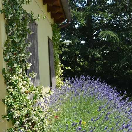 Podere Delle Rose Agriturismo * Torre San Severo