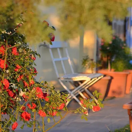 Podere Delle Rose Agriturismo
