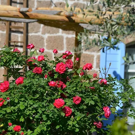 Podere Delle Rose Agriturismo *
