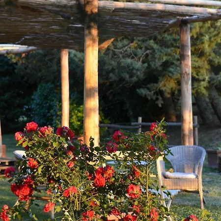 Podere Delle Rose Agriturismo Torre San Severo