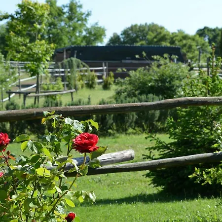Πανσιόν Podere Delle Rose Agriturismo *