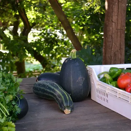 Podere Delle Rose Agriturismo Πανσιόν *